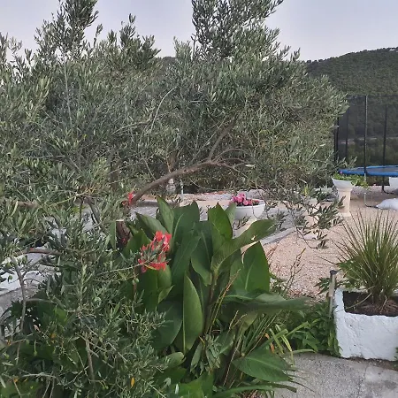 Mare 公寓 希贝尼克